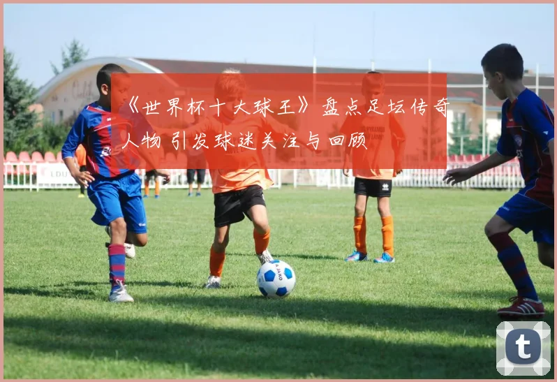《世界杯十大球王》盘点足坛传奇人物 引发球迷关注与回顾