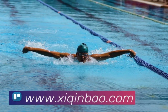 未来规划